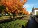  parures d'automne, boulevard Jules Guesde